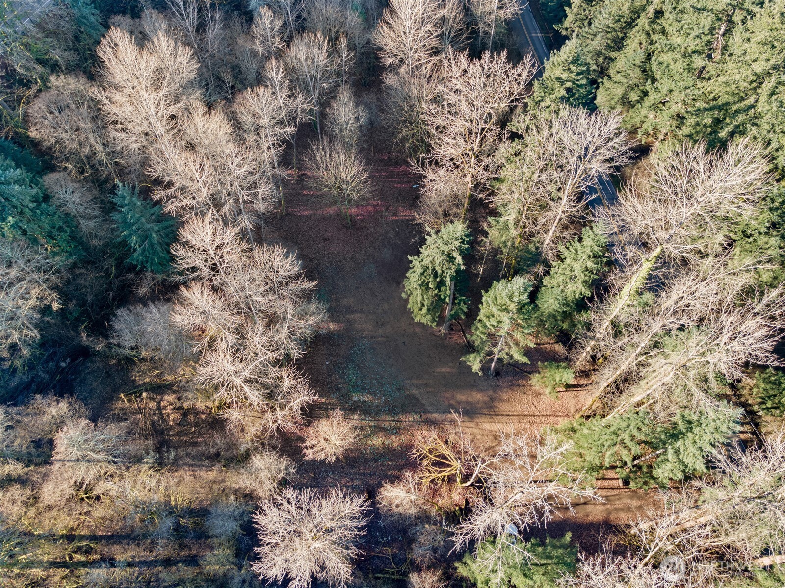 2900 53rd Street SE, Auburn, WA 98092