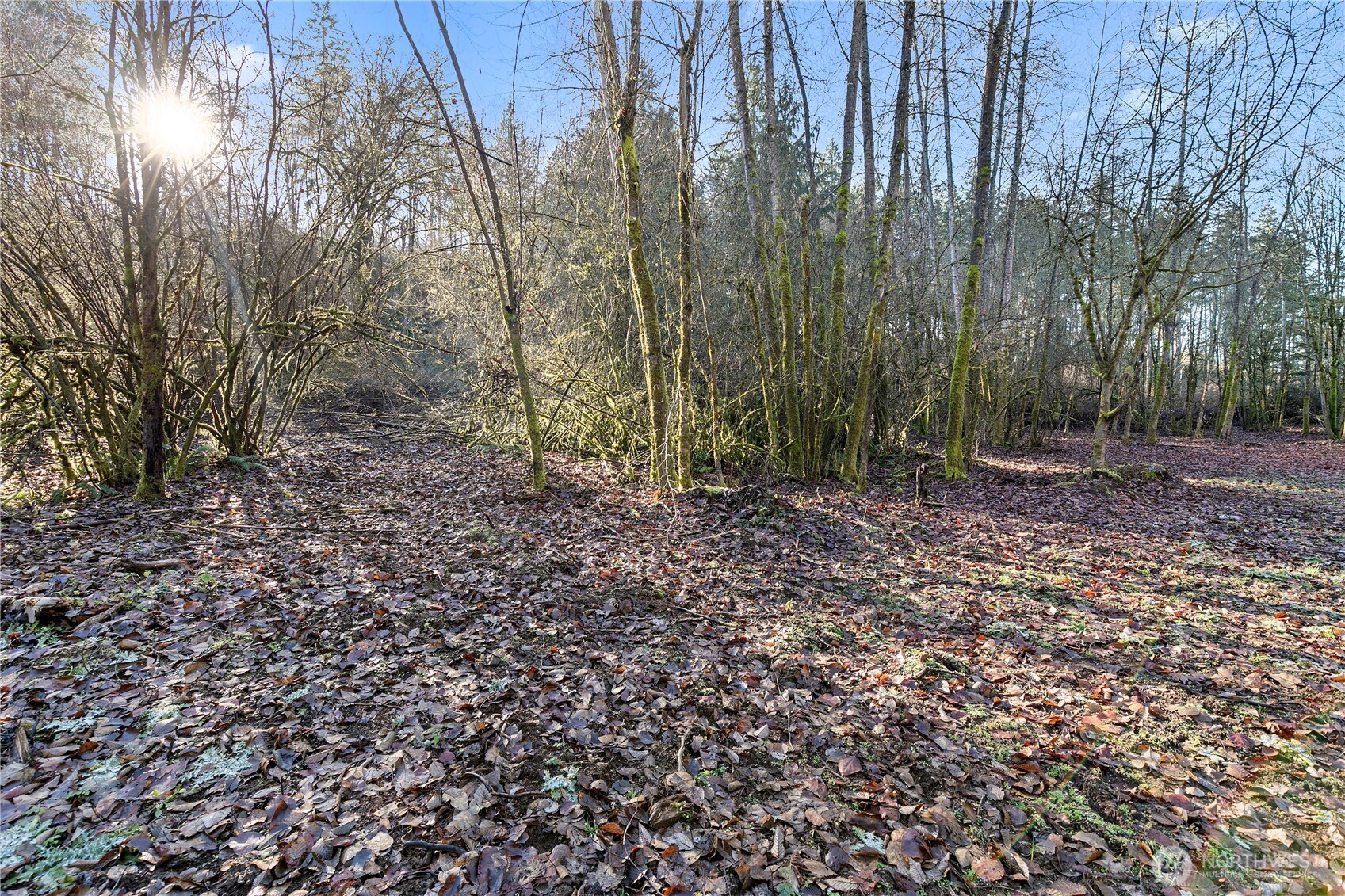 2900 53rd Street SE, Auburn, WA 98092