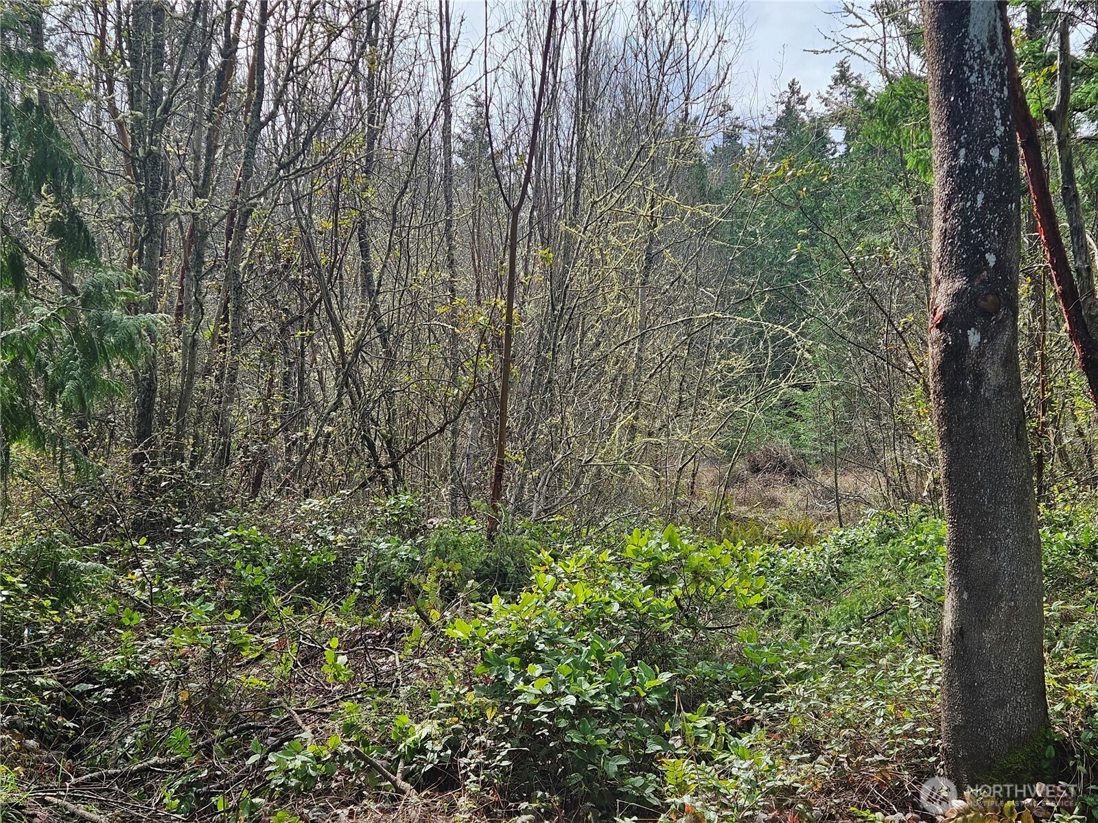 8220 Hwy 20 , Port Townsend, WA 98368