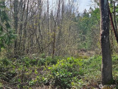 8220 Hwy 20 , Port Townsend, WA 98368 - Photo 5