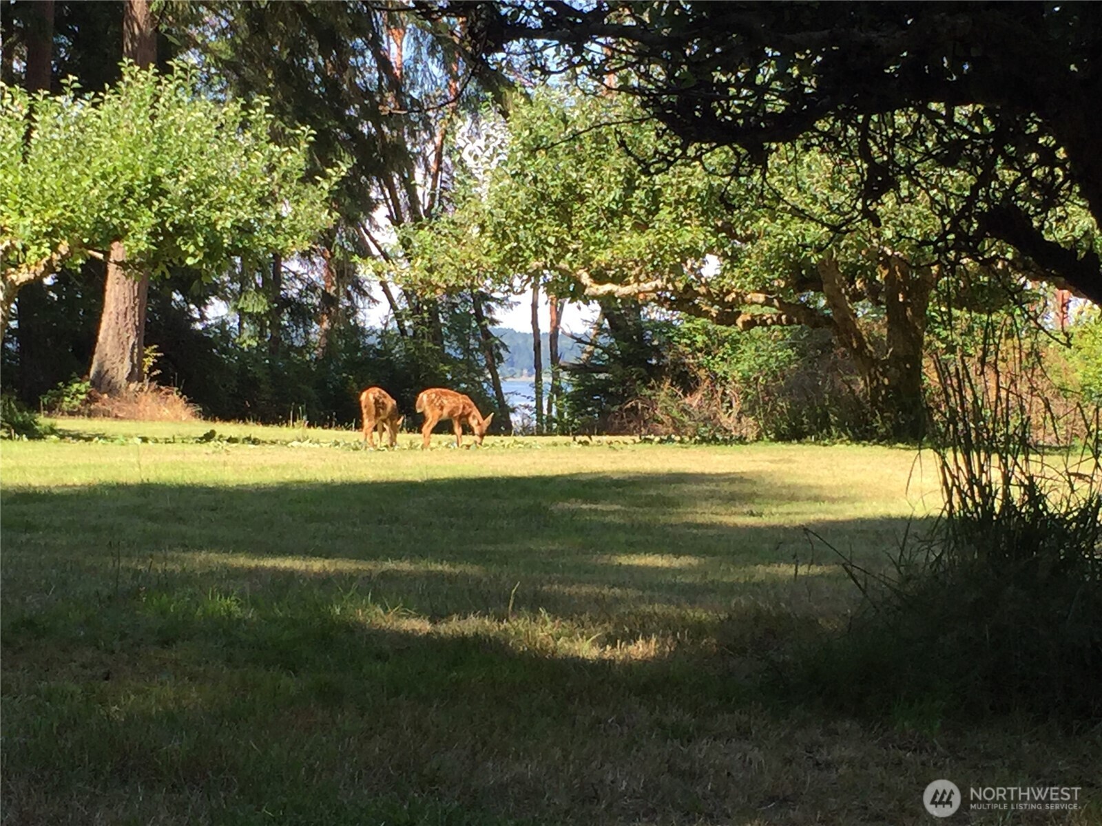 11600 32nd Street NW, Gig Harbor, WA 98335