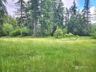 11600 32nd Street NW, Gig Harbor, WA 98335