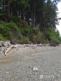 11600 32nd Street NW, Gig Harbor, WA 98335