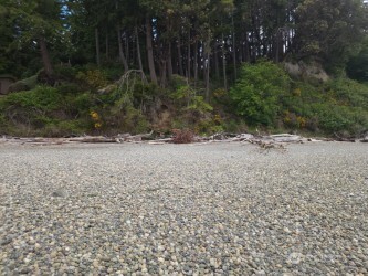 11600 32nd Street NW, Gig Harbor, WA 98335