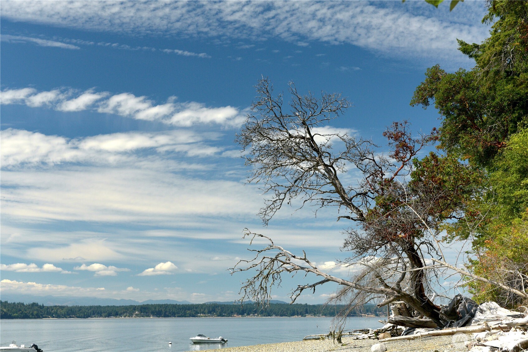 11600 32nd Street NW, Gig Harbor, WA 98335