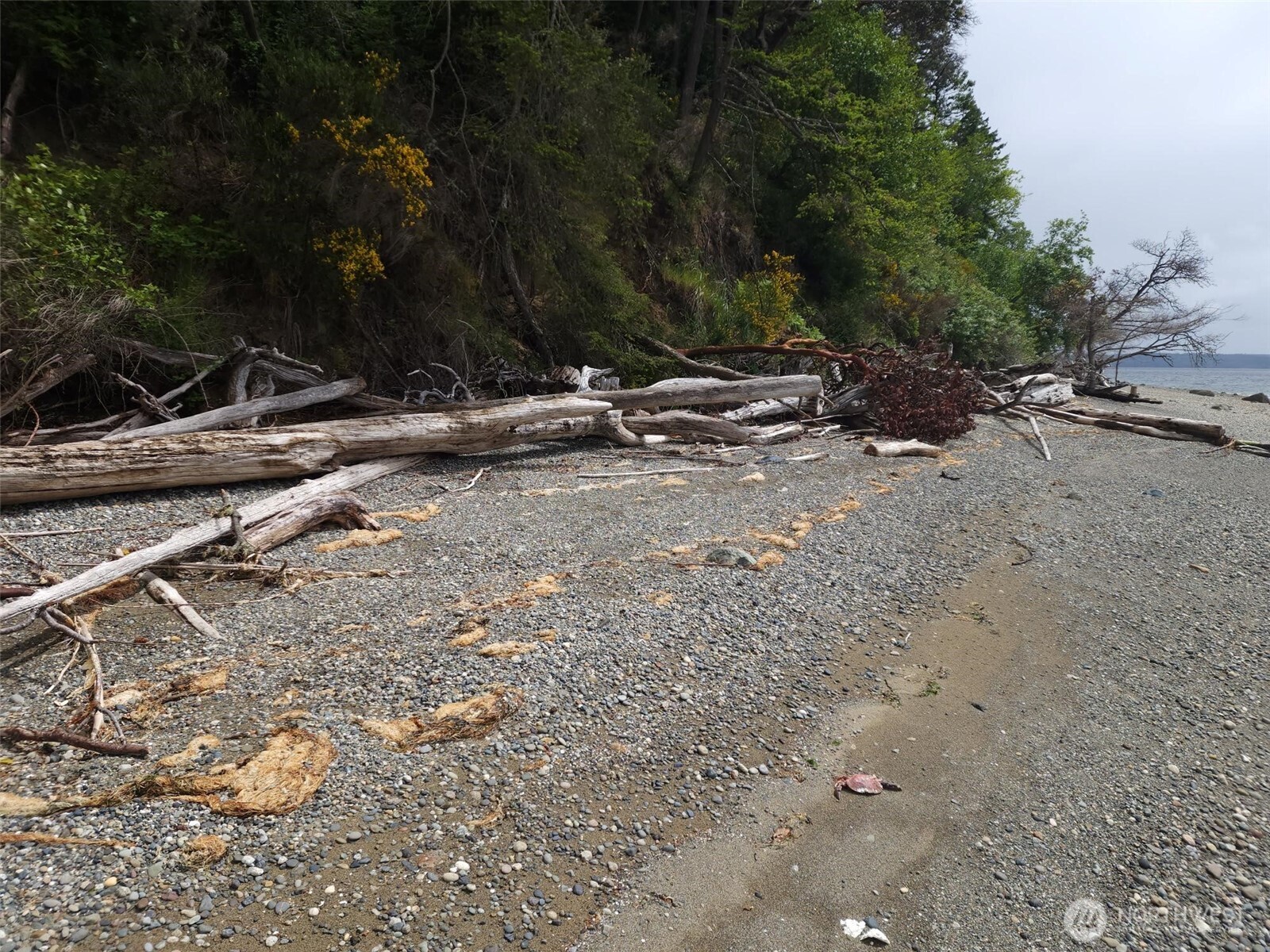 11600 32nd Street NW, Gig Harbor, WA 98335