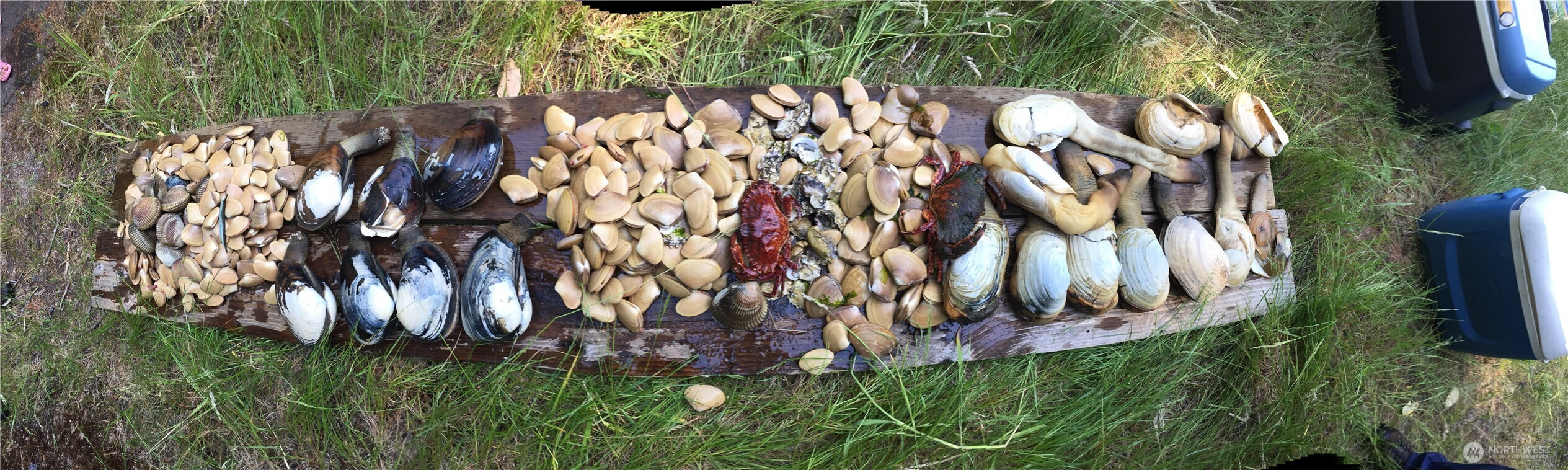 11600 32nd Street NW, Gig Harbor, WA 98335