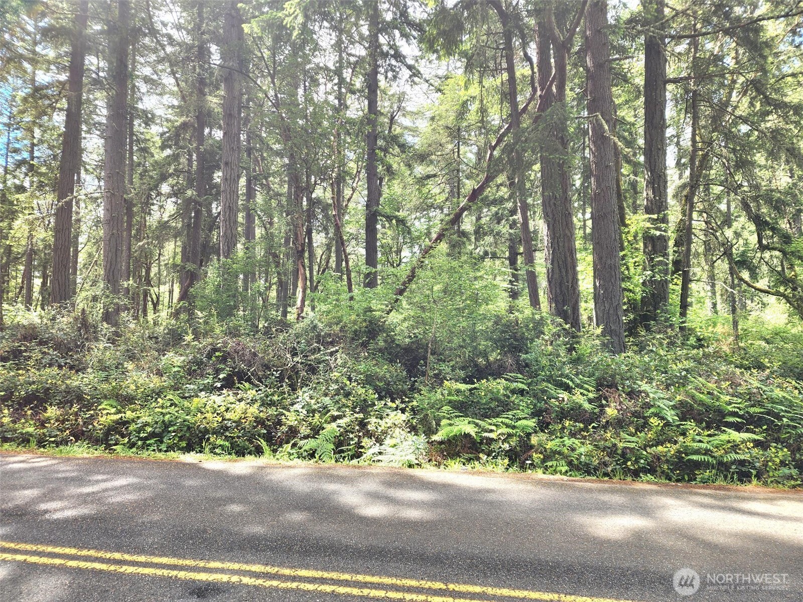 11600 32nd Street NW, Gig Harbor, WA 98335