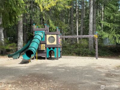 300 N Mount Jupiter Drive , Hoodsport, WA 98548 - Photo 20