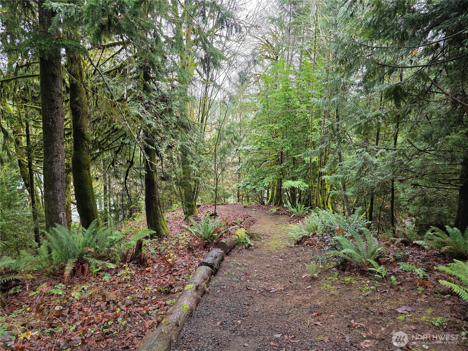 71 Hilltop Court , Brinnon, WA 98320