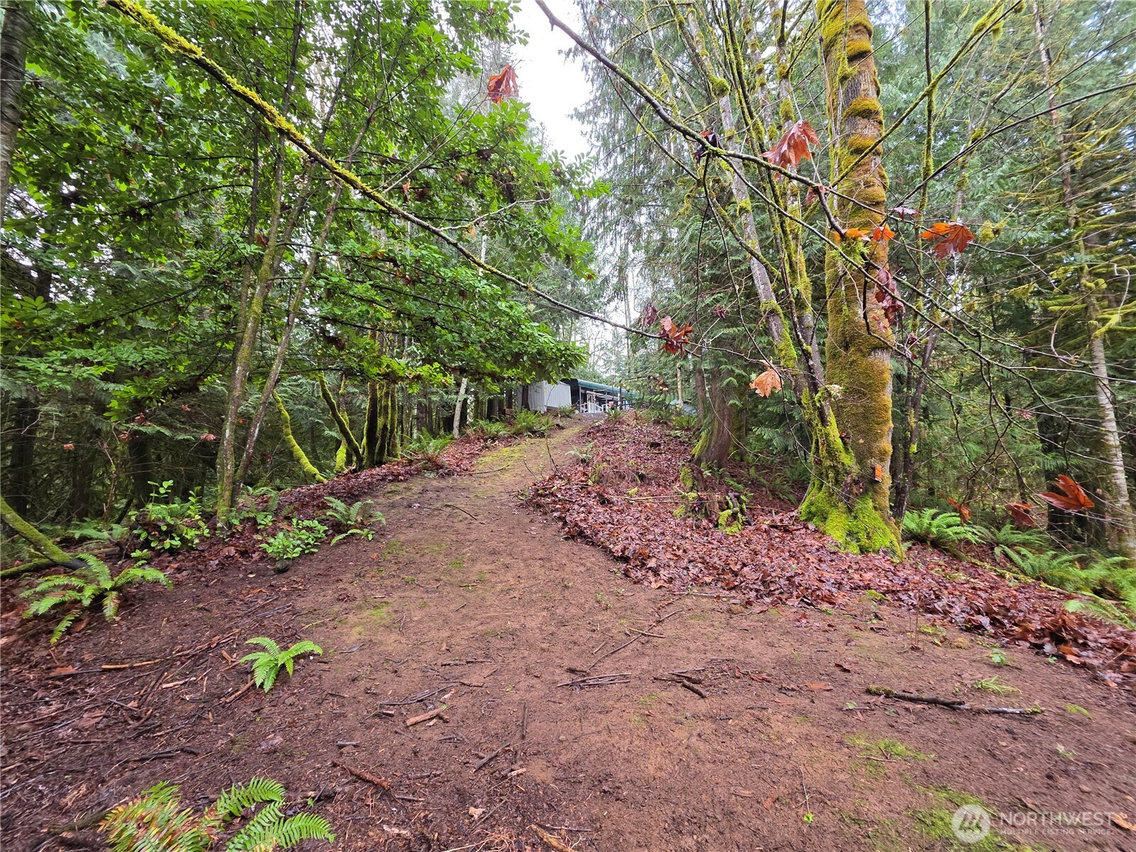 71 Hilltop Court , Brinnon, WA 98320