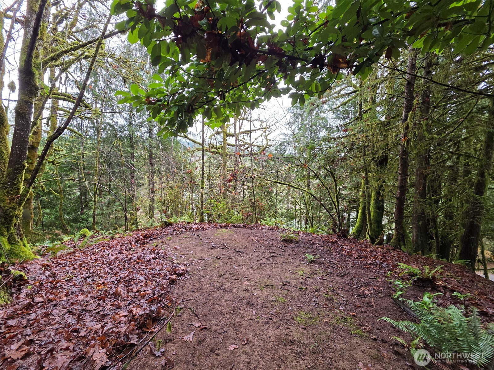 71 Hilltop Court , Brinnon, WA 98320