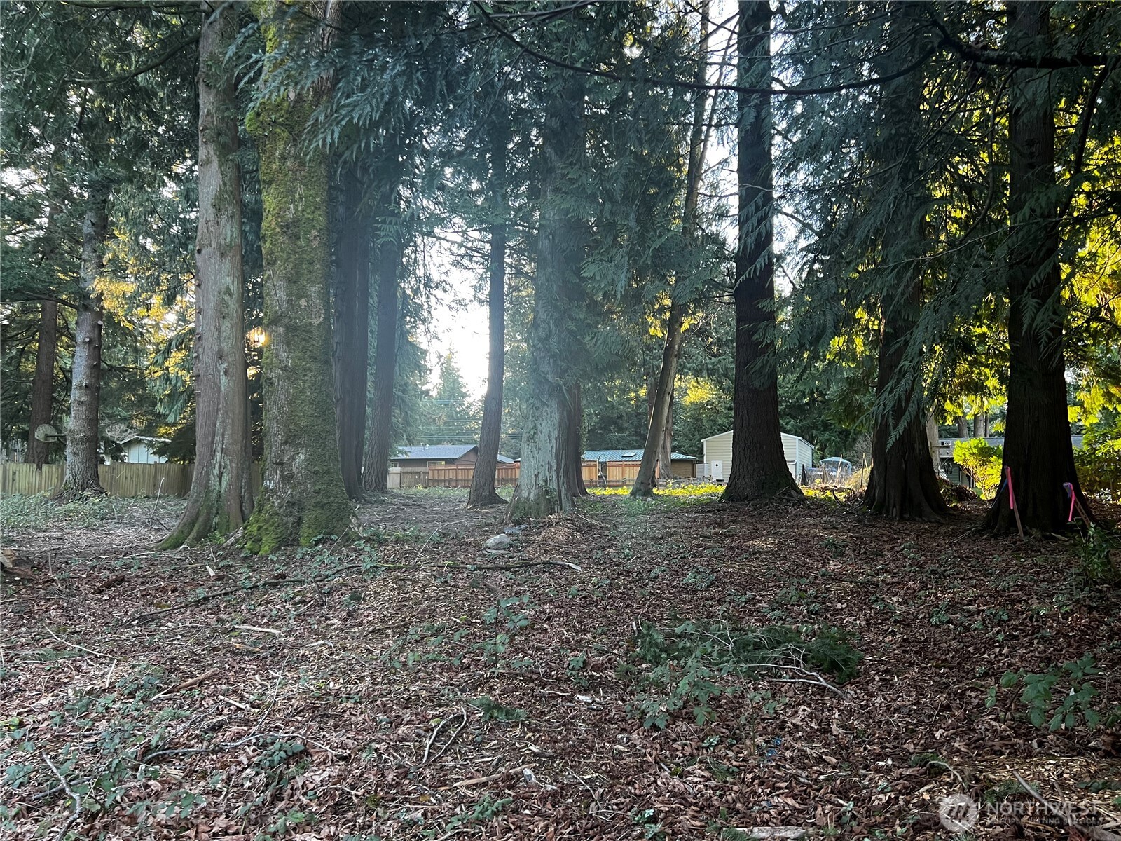 0 XXX Forest View Drive , Bellingham, WA 98229