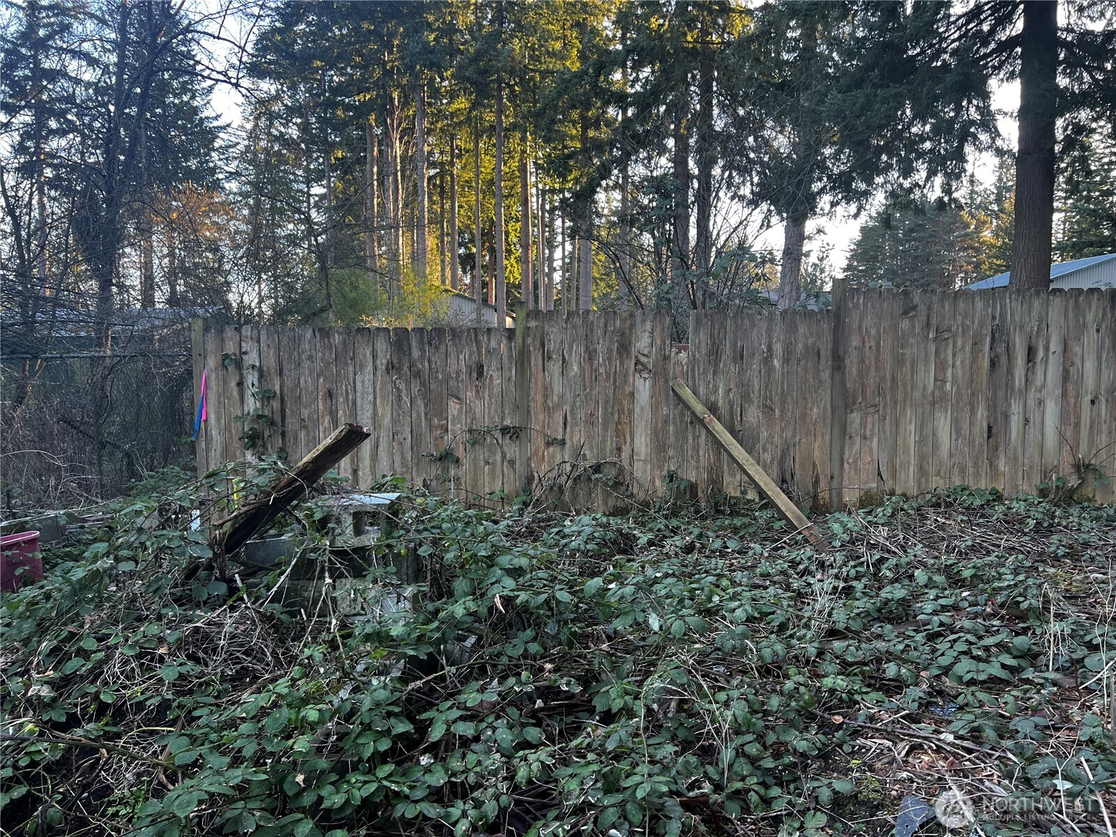 0 XXX Forest View Drive , Bellingham, WA 98229