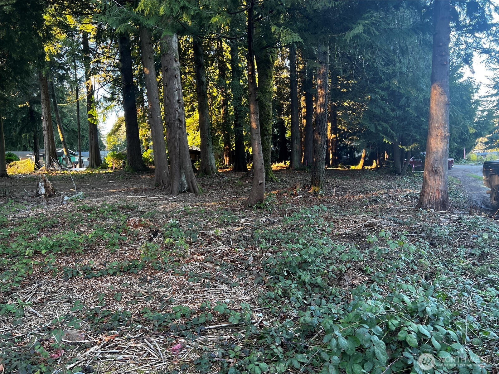 0 XXX Forest View Drive , Bellingham, WA 98229