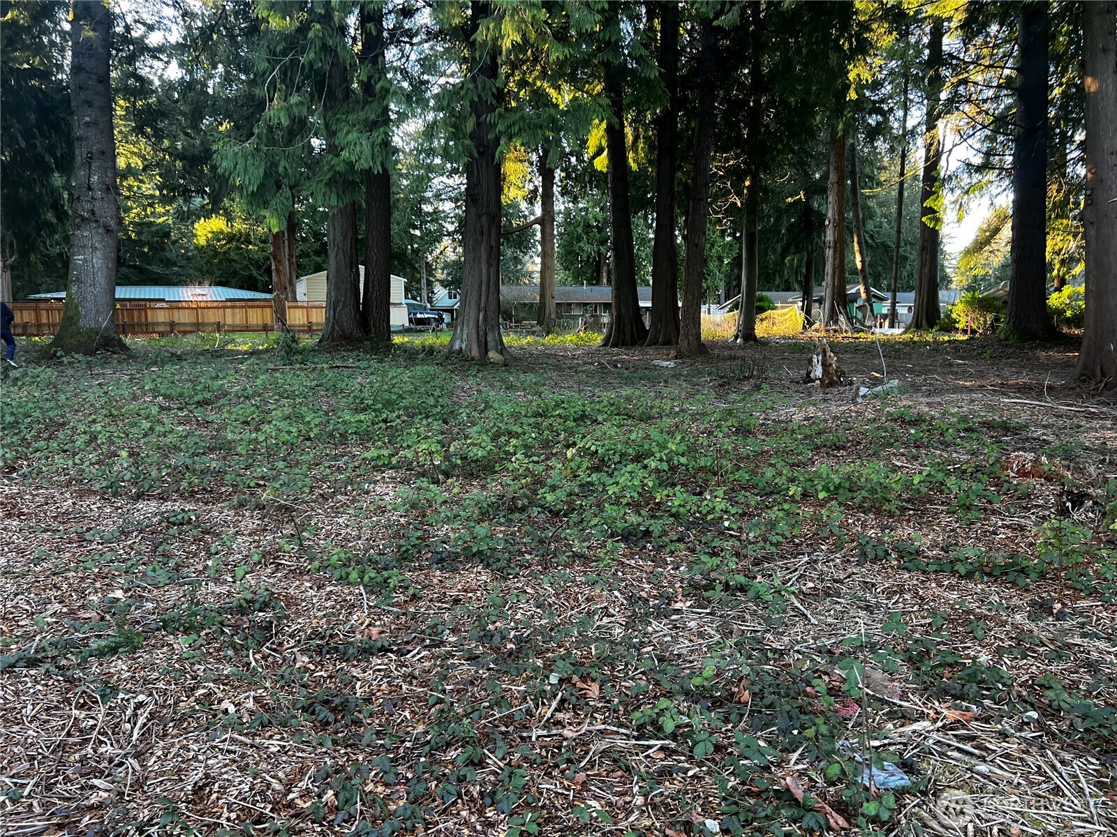 0 XXX Forest View Drive , Bellingham, WA 98229