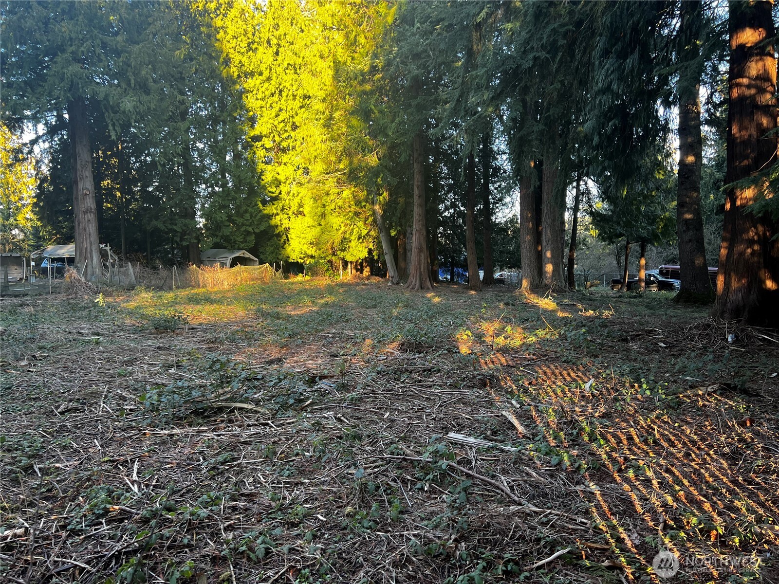 0 XXX Forest View Drive , Bellingham, WA 98229