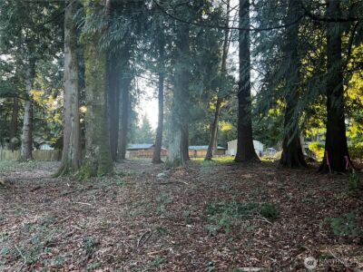 0 XXX Forest View Drive , Bellingham, WA 98229