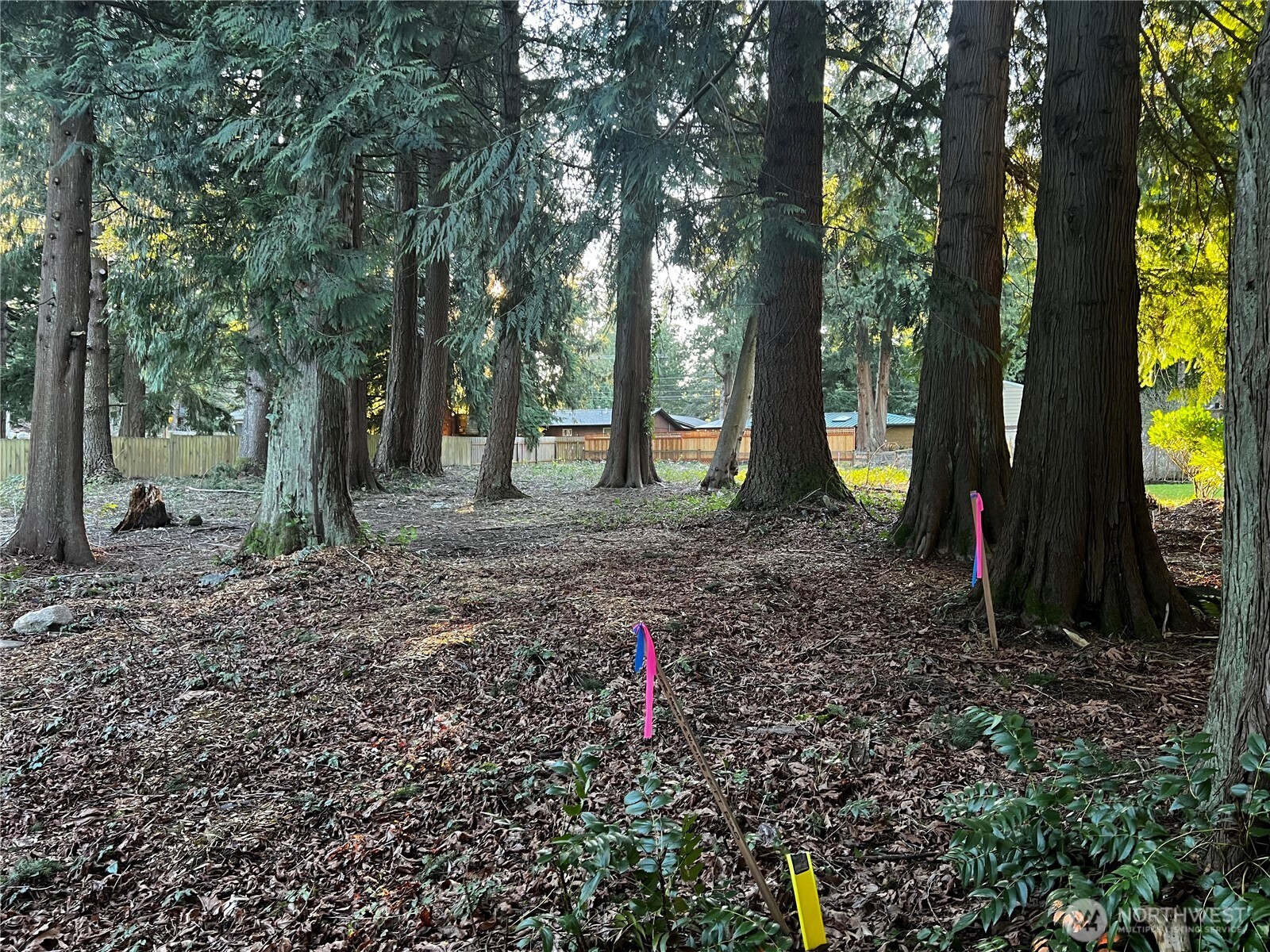 0 XXX Forest View Drive , Bellingham, WA 98229