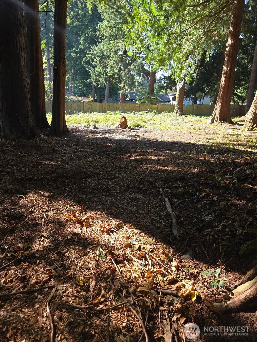 0 XXX Forest View Drive , Bellingham, WA 98229