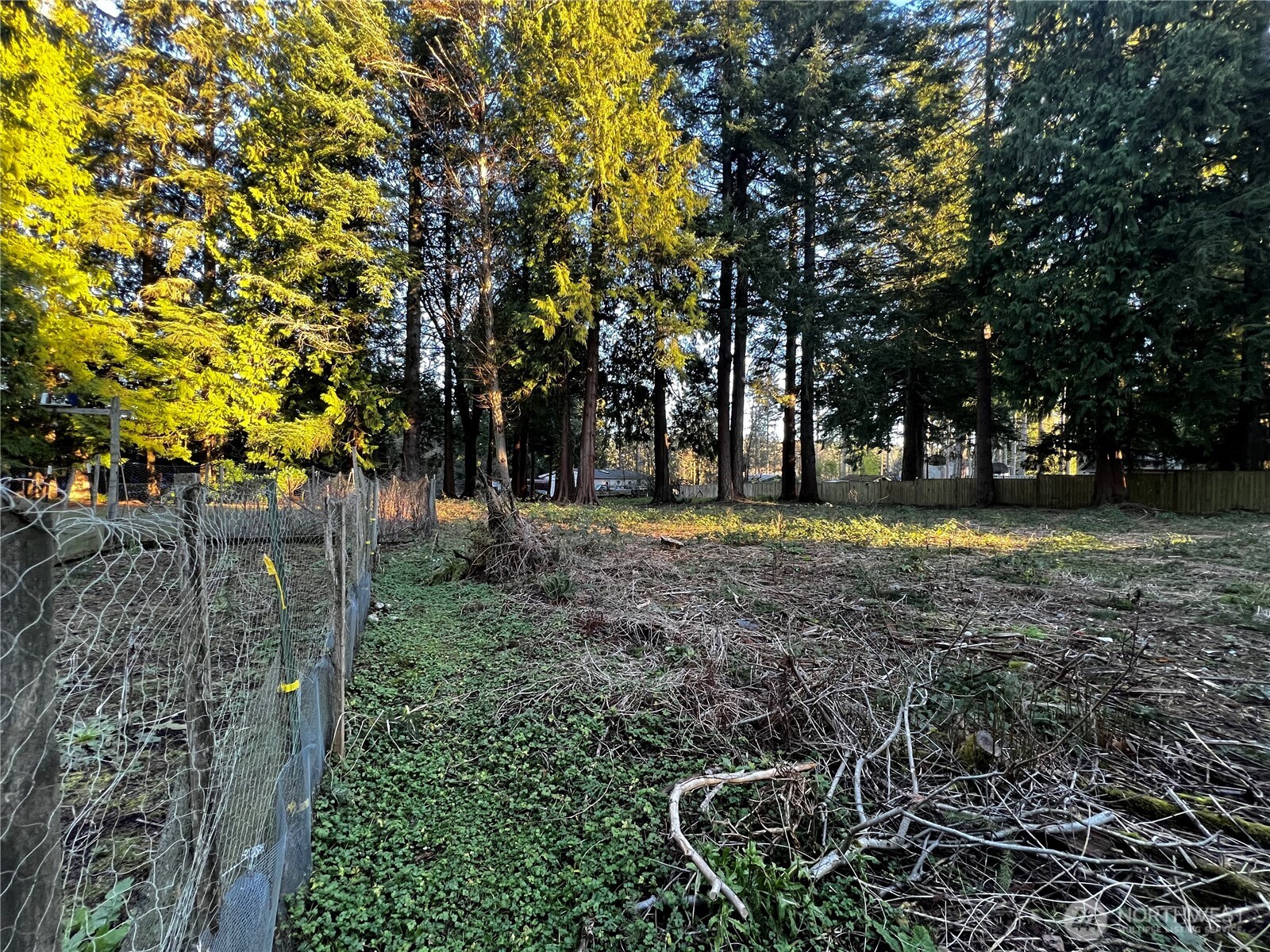 0 XXX Forest View Drive , Bellingham, WA 98229