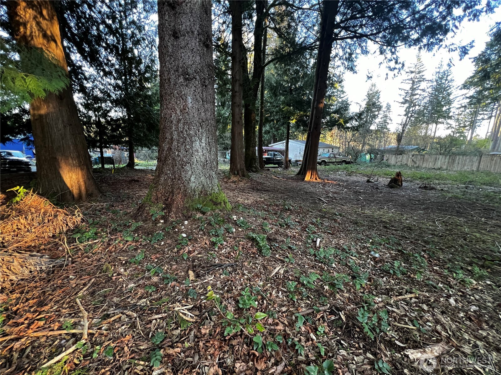 0 XXX Forest View Drive , Bellingham, WA 98229