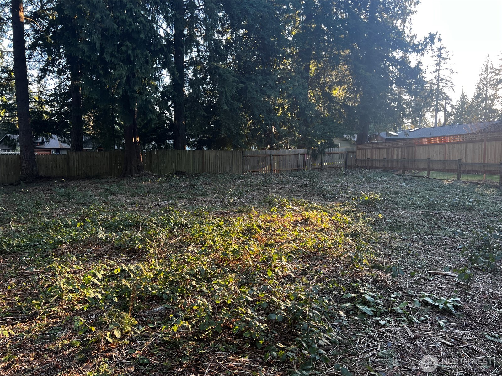 0 XXX Forest View Drive , Bellingham, WA 98229