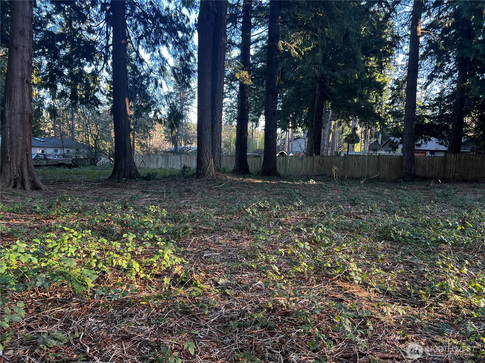 0 XXX Forest View Drive , Bellingham, WA 98229