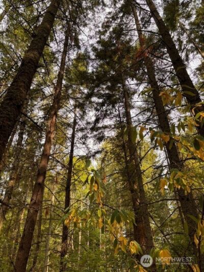 0 Chuckawa Lane SW, Yelm, WA 98597