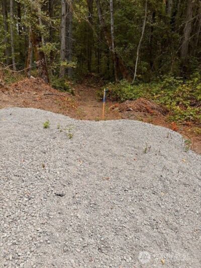 0 Chuckawa Lane SW, Yelm, WA 98597 - Photo 2