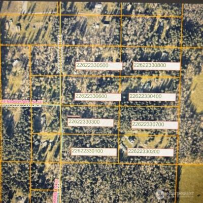 0 Chuckawa Lane SW, Yelm, WA 98597 - Photo 3