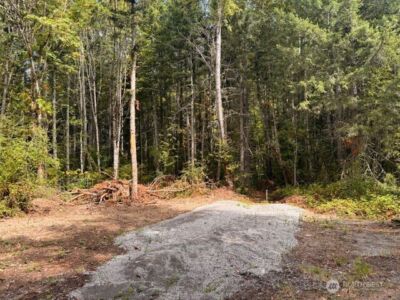 0 Chuckawa Lane SW, Yelm, WA 98597 - Photo 4