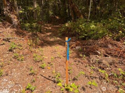 0 Chuckawa Lane SW, Yelm, WA 98597 - Photo 5