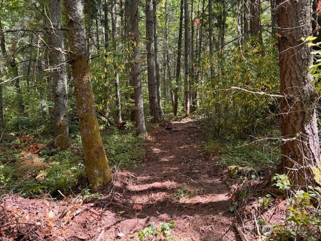 0 Chuckawa Lane SW, Yelm, WA 98597