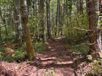 0 Chuckawa Lane SW, Yelm, WA 98597 - Photo 6