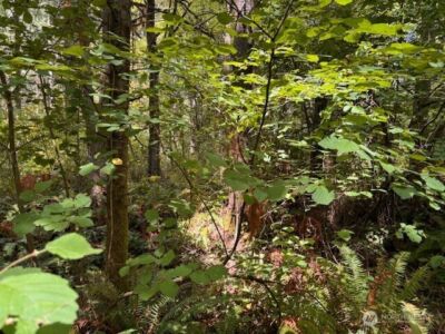 0 Chuckawa Lane SW, Yelm, WA 98597 - Photo 7