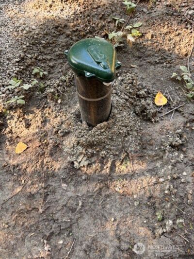 0 Chuckawa Lane SW, Yelm, WA 98597 - Photo 8