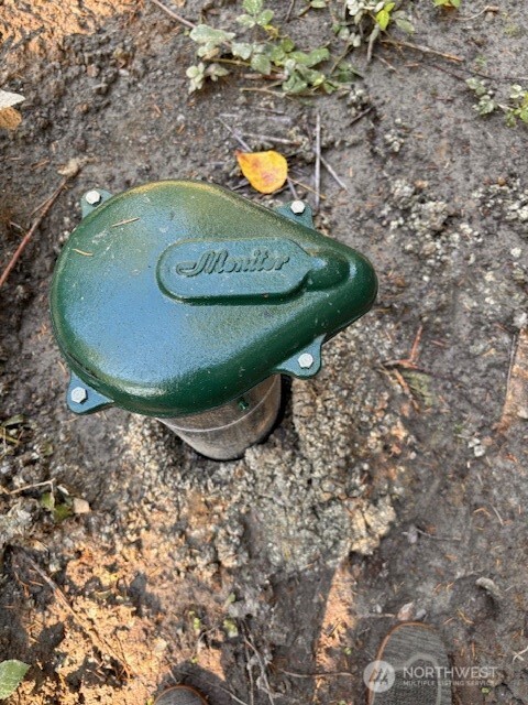 0 Chuckawa Lane SW, Yelm, WA 98597