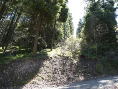 831 Horse Heaven Road , Cle Elum, WA 98922 - Photo 25