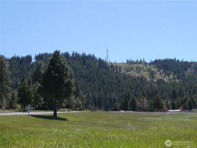 831 Horse Heaven Road , Cle Elum, WA 98922 - Photo 26