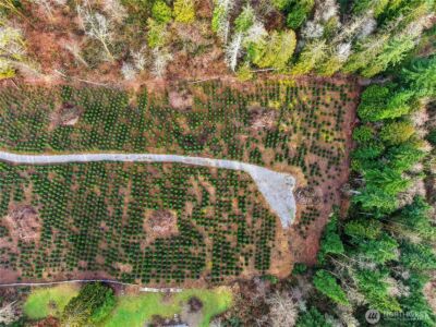 19420 Abbey Lane SE, Bucoda, WA 98530 - Photo 11