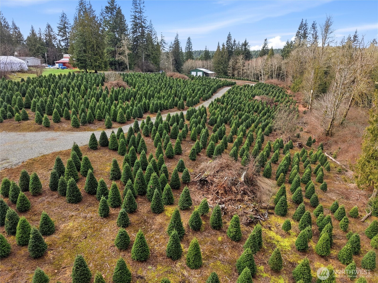 19420 Abbey Lane SE, Bucoda, WA 98530