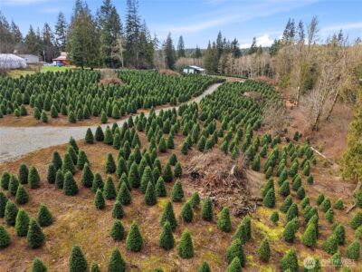 19420 Abbey Lane SE, Bucoda, WA 98530 - Photo 3