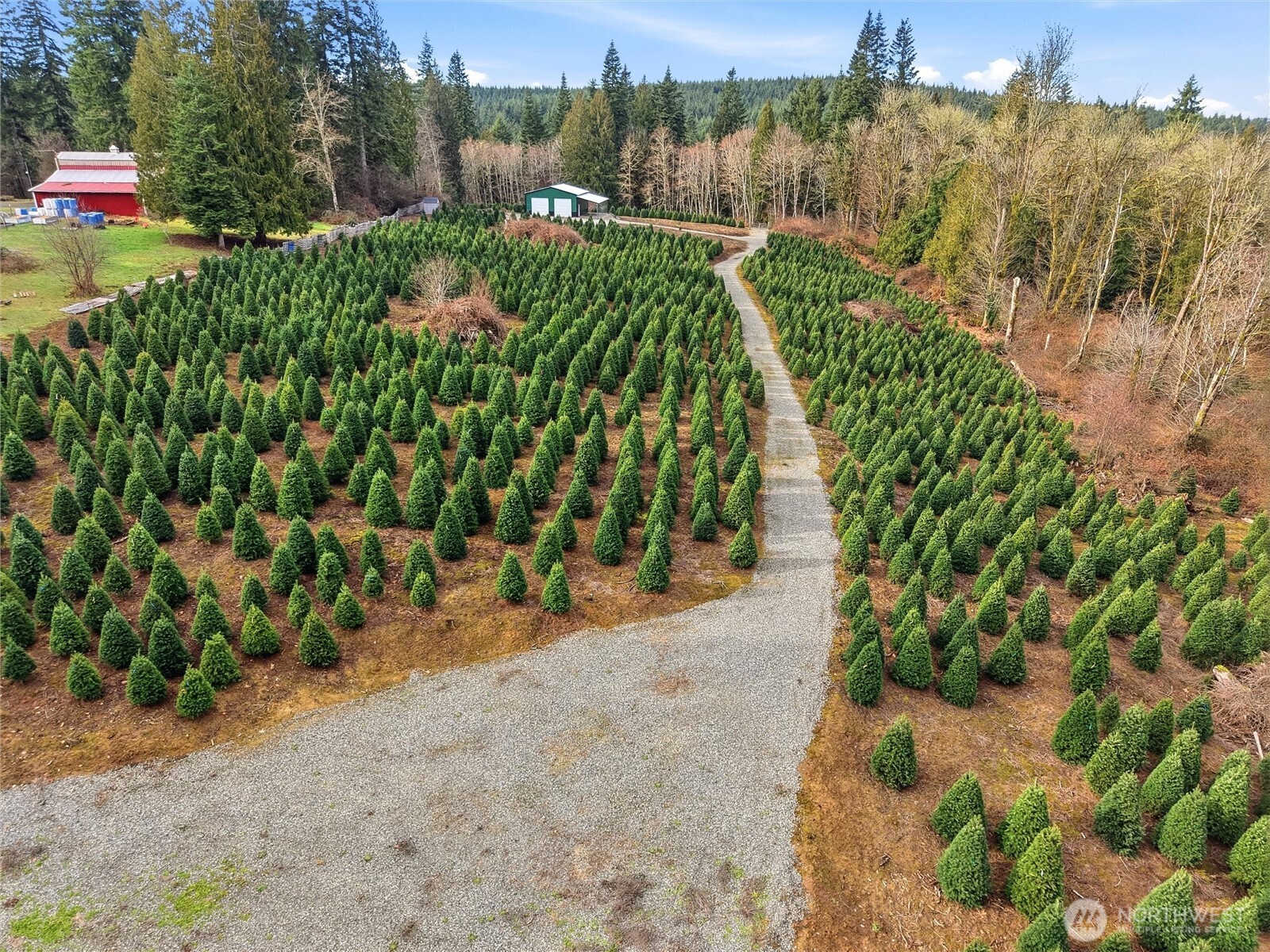 19420 Abbey Lane SE, Bucoda, WA 98530