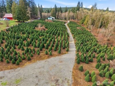 19420 Abbey Lane SE, Bucoda, WA 98530 - Photo 10