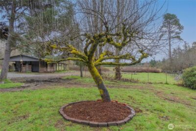 2803 77th Avenue NE, Olympia, WA 98506 - Photo 29