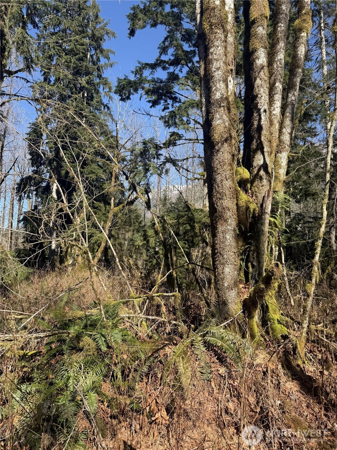 63602 190th Street NE, Baring, WA 98224