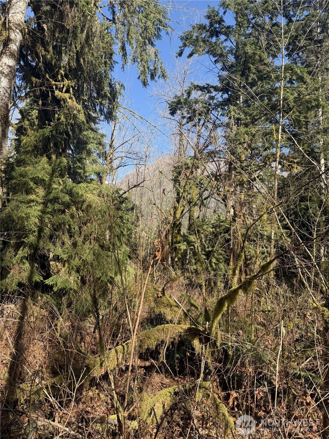 63602 190th Street NE, Baring, WA 98224