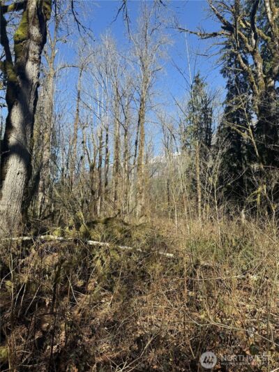 63602 190th Street NE, Baring, WA 98224 - Photo 5