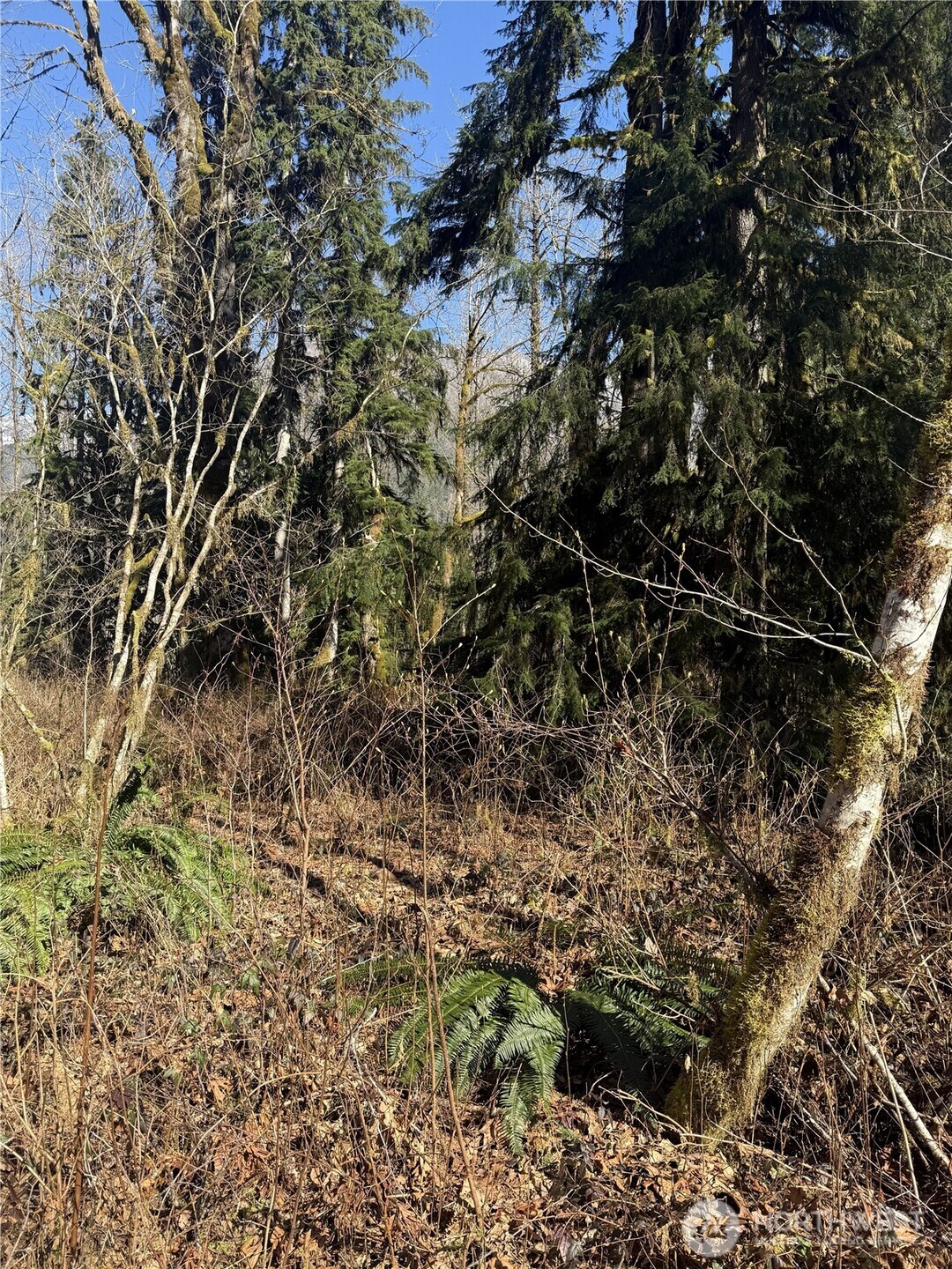 63602 190th Street NE, Baring, WA 98224